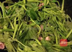 瘦肉炒南瓜苗的做法图解3