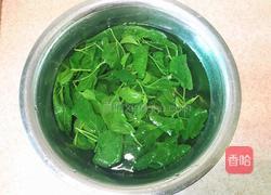 桑叶馒头的做法图解4