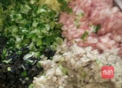 猪肉木耳蘑菇馅馄饨的做法图解6