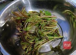 香椿炒鸡蛋的做法图解1