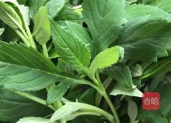 炒孟菜的做法图解3