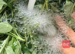 炒孟菜的做法图解5