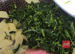 炒孟菜的做法图解11
