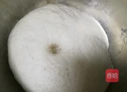 好消化的发面葱油饼 宝宝辅食营养食谱菜谱的做法图解3