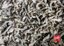 蒸楚不揪子的做法图解3