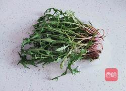 蒲公英红枣茶的做法图解2