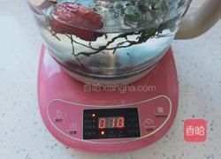 蒲公英红枣茶的做法图解7