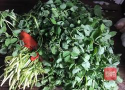 爆炒黄花草的做法图解1