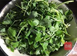 爆炒黄花草的做法图解3