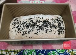 纯手工制作 烤全麦面包 大列巴的做法图解17