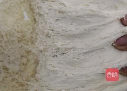 菜包子的做法图解7