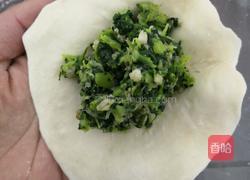 菜包子的做法图解14