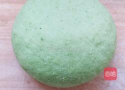 菠菜汁春饼的做法图解4