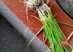 白菜包饭的做法图解3