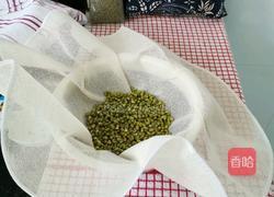 是不是可以自己在家发绿豆芽儿 坐等绿豆发芽的做法图解4