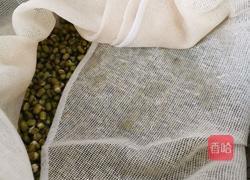 是不是可以自己在家发绿豆芽儿 坐等绿豆发芽的做法图解5