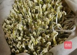 是不是可以自己在家发绿豆芽儿 坐等绿豆发芽的做法图解9