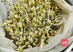 是不是可以自己在家发绿豆芽儿 坐等绿豆发芽的做法图解10