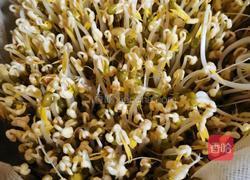 是不是可以自己在家发绿豆芽儿 坐等绿豆发芽的做法图解11