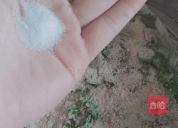 渣腐的做法图解6