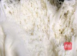 奶香馒头的做法图解8