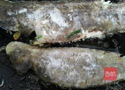 红烧舌鳎鱼的做法图解5