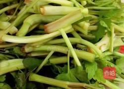 野芹炒肉丝的做法图解1