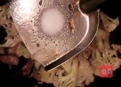 快手炒松花的做法图解5