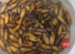 辣炒蛹的做法图解2