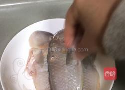 潮汕香煎鹦哥鱼的做法图解1