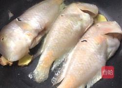潮汕香煎鹦哥鱼的做法图解3