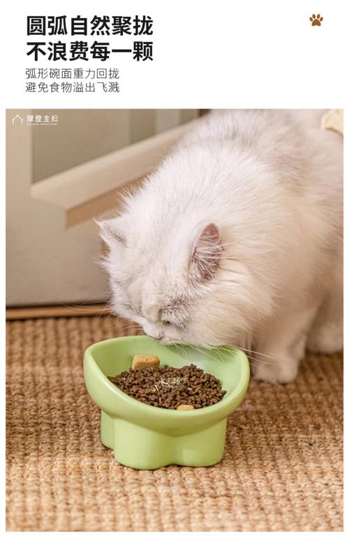 主人给猫咪喂食时，给的空碗看猫咪反应，猫咪四处找猫粮