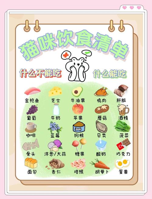 猫咪不可以吃什么？对猫咪有害的食物宠物主一定要知道！