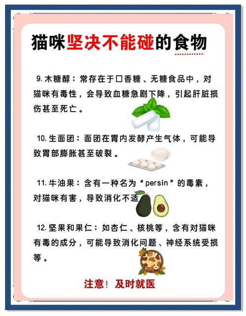 猫咪不可以吃什么？对猫咪有害的食物宠物主一定要知道！