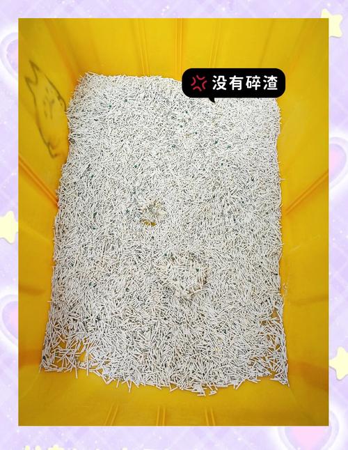 盼心猫砂以科技赋能品质，重塑宠物清洁体验新高度