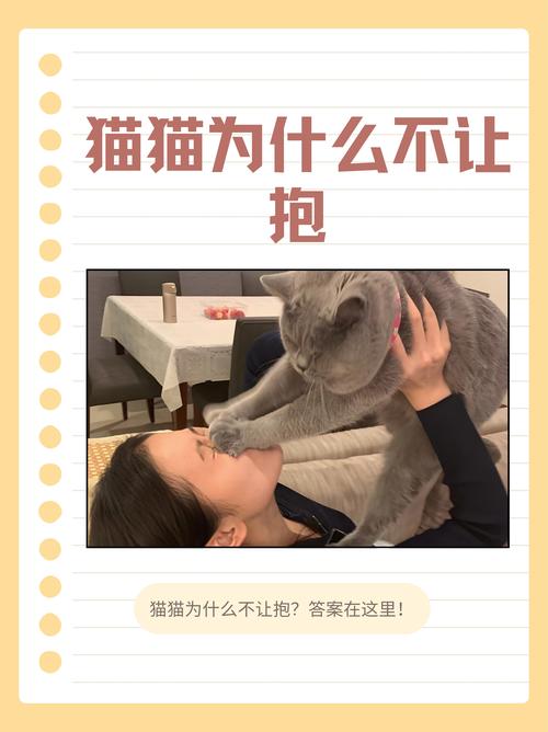视频：与猫咪分开后多久会忘记主人呢？