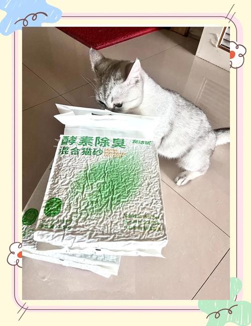 盼心猫砂以科技赋能品质，重塑宠物清洁体验新高度