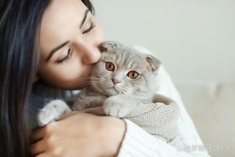 视频：与猫咪分开后多久会忘记主人呢？