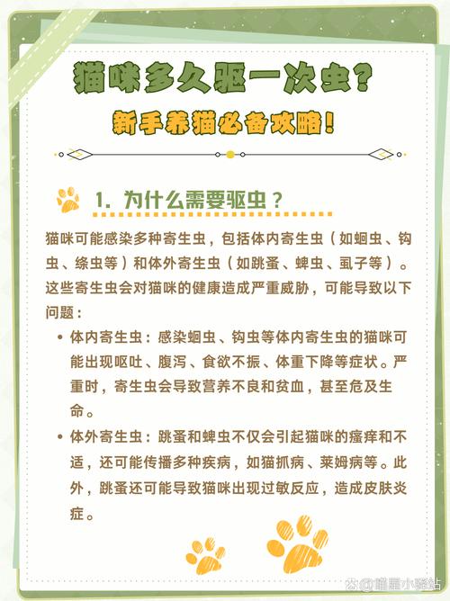 视频：6个月的猫咪多久驱一次虫？