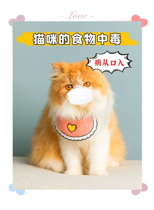 视频：哪些食物会使猫咪中毒？