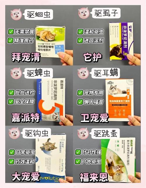 视频：喂猫咪驱虫药之前没禁食会怎么样？