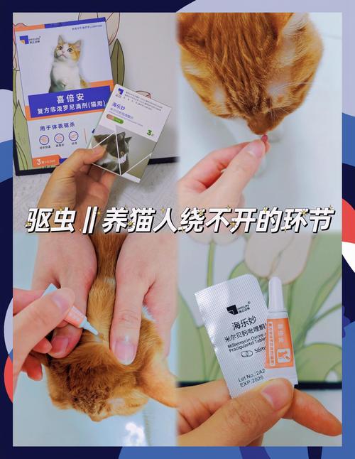 视频：宠物猫咪驱虫多久一次？