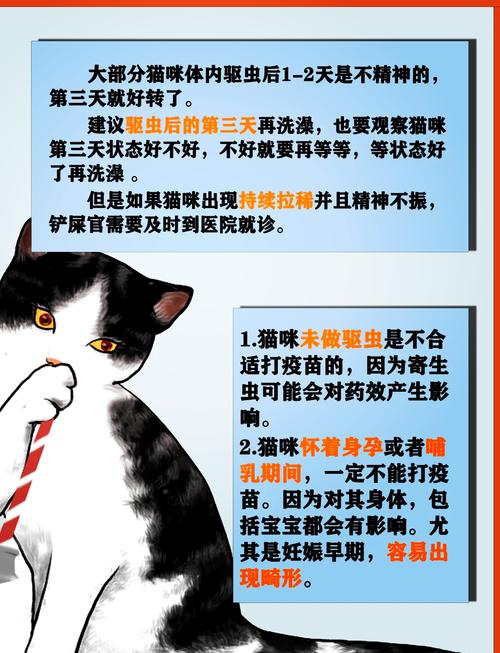 视频：喂猫咪驱虫药之前没禁食会怎么样？