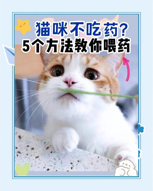 视频：喂猫咪驱虫药之前没禁食会怎么样？