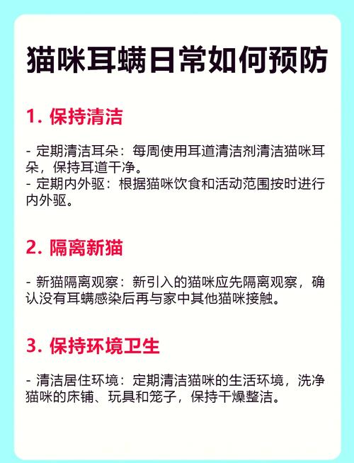 视频：怀孕的猫咪可以用耳螨药吗？