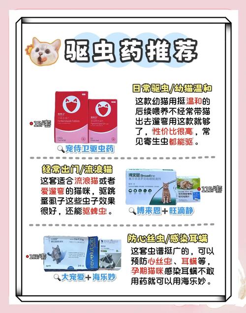 视频：宠物猫咪驱虫多久一次？