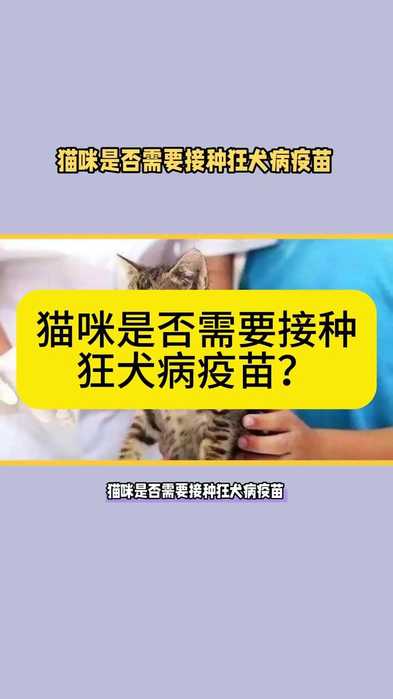 视频：成年猫咪多久打一次疫苗？