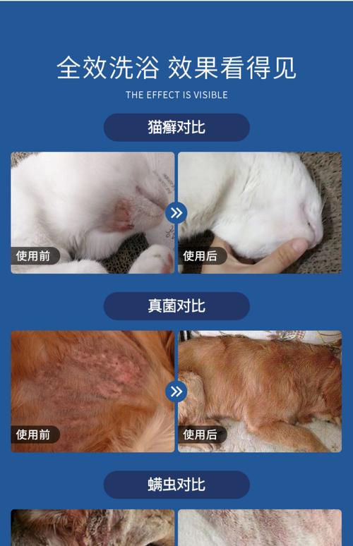 视频：治疗猫咪猫癣的沐浴露选哪种呢？