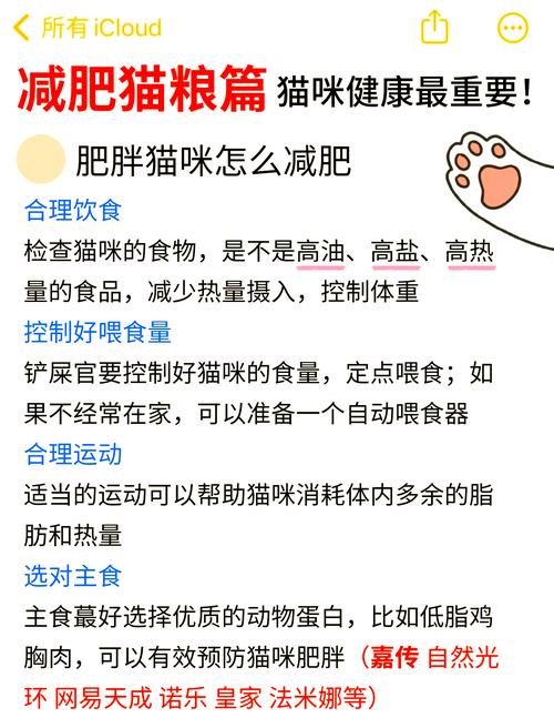 视频：猫咪为什么吃得多但很瘦？