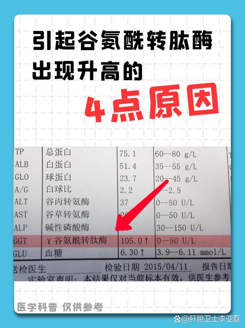 视频：猫咪丙氨酸转氨酶升高是怎么回事？